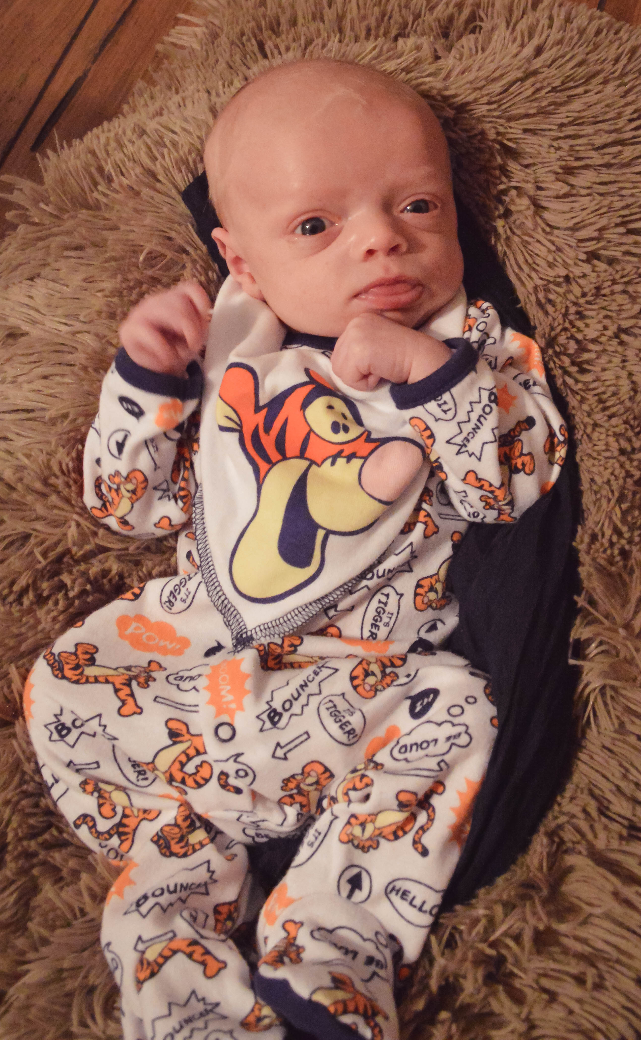 jace14 Bowling Green Kentucky Newborn and Maternity Photographer